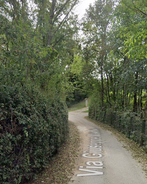 immagine annuncio 6 di 10