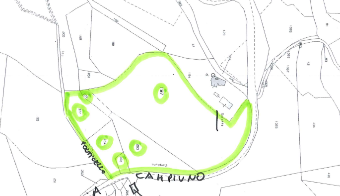 immagine annuncio 7 di 10