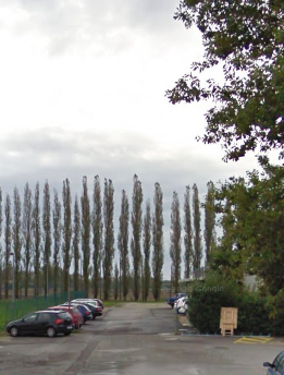 immagine annuncio 3 di 10