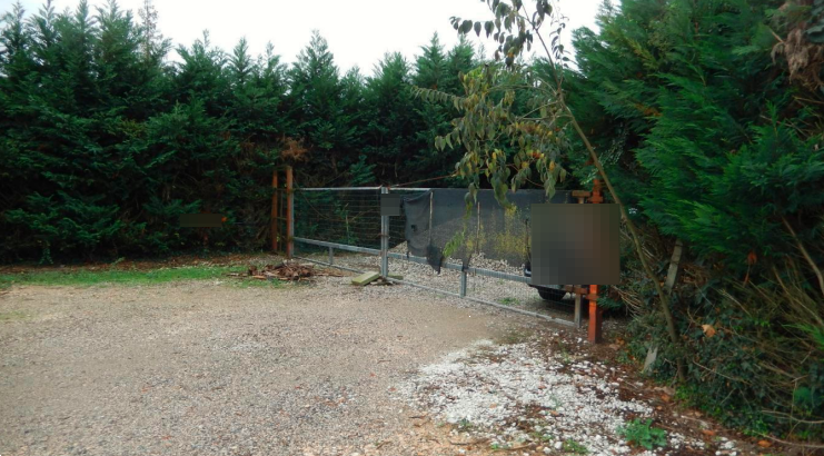 immagine annuncio 7 di 10