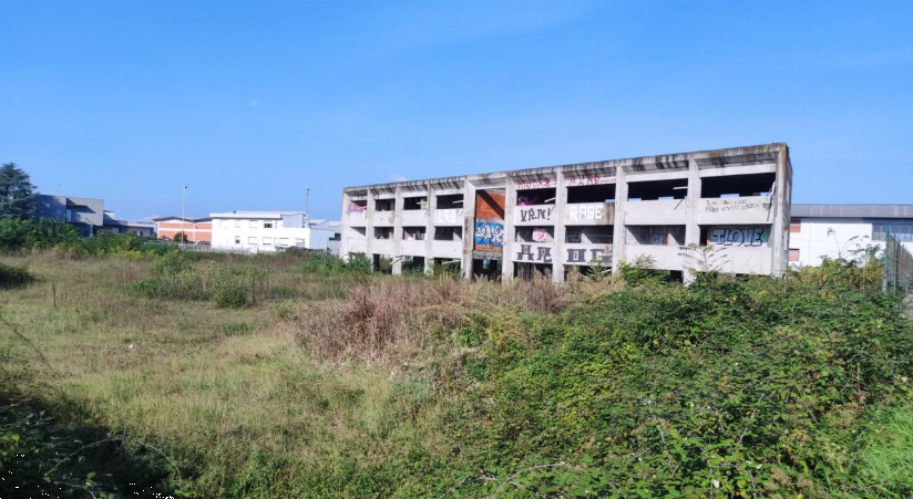 immagine annuncio 2 di 10