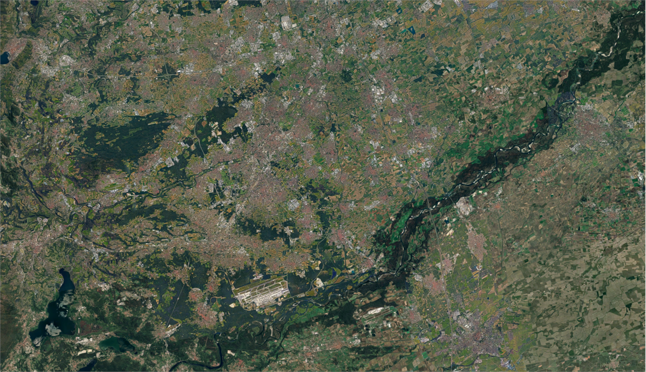 immagine annuncio 3 di 10