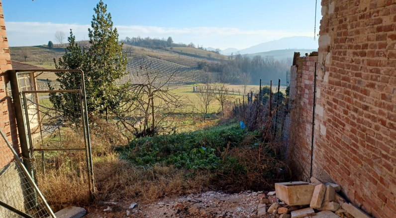 immagine annuncio 4 di 10