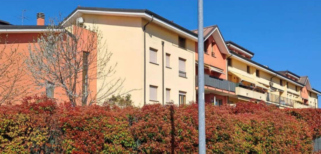 immagine annuncio 7 di 10