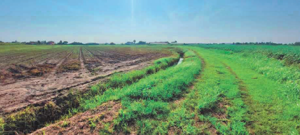 immagine annuncio 4 di 10