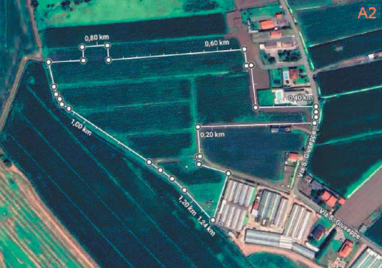 immagine annuncio 8 di 10