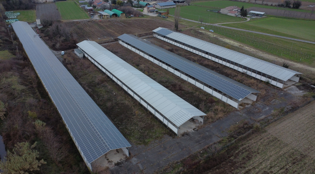 immagine annuncio 4 di 10