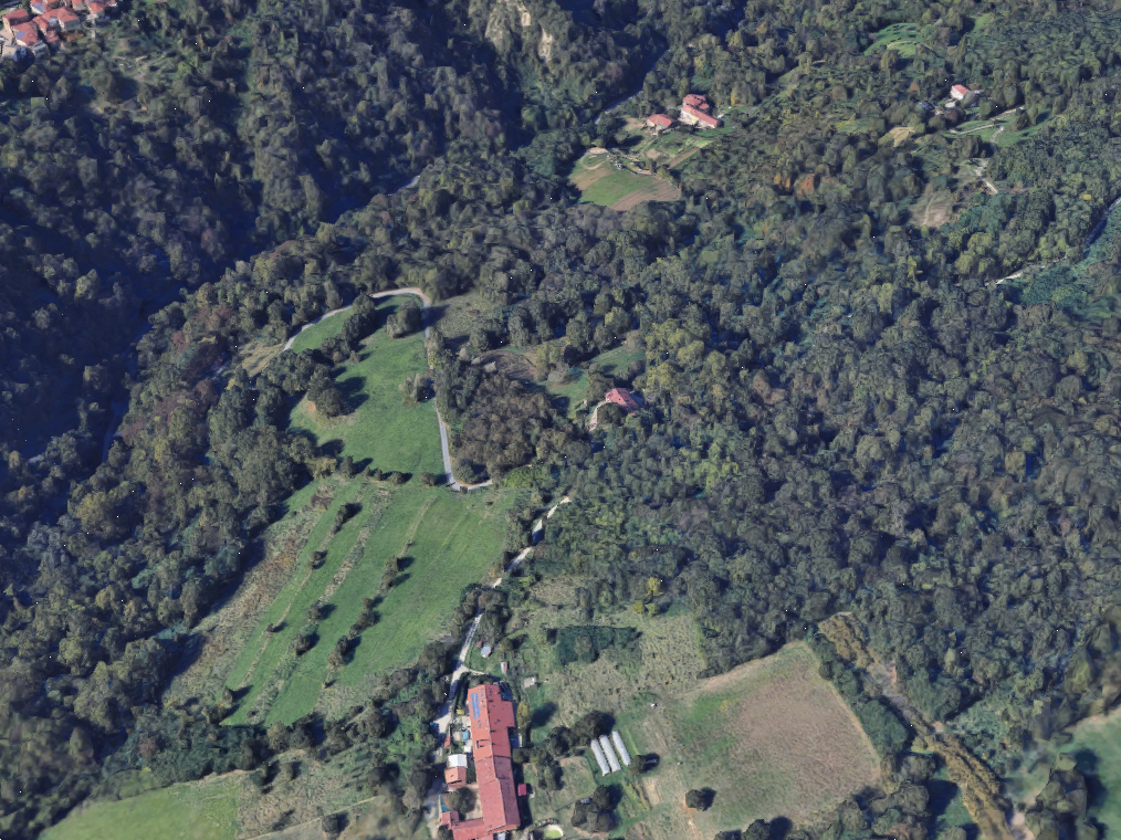 immagine annuncio 3 di 10