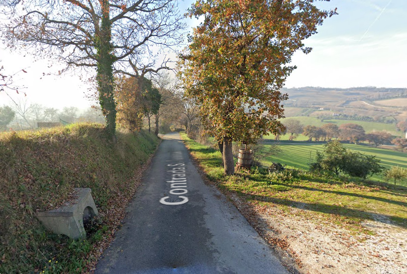 immagine annuncio 3 di 10