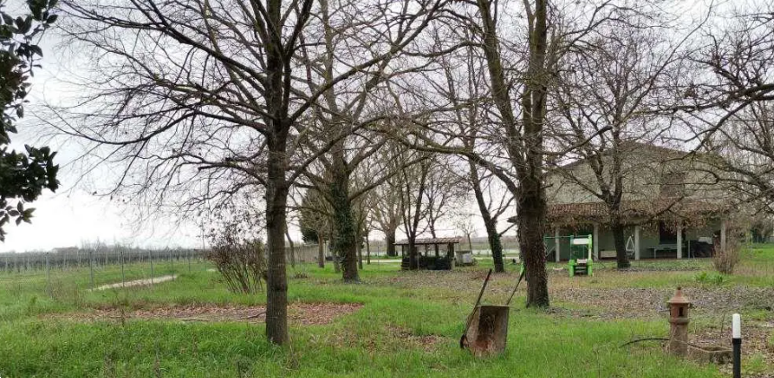 immagine annuncio 3 di 10