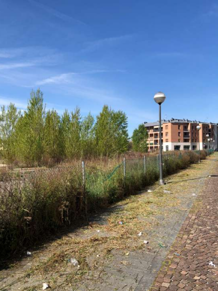 immagine annuncio 4 di 10