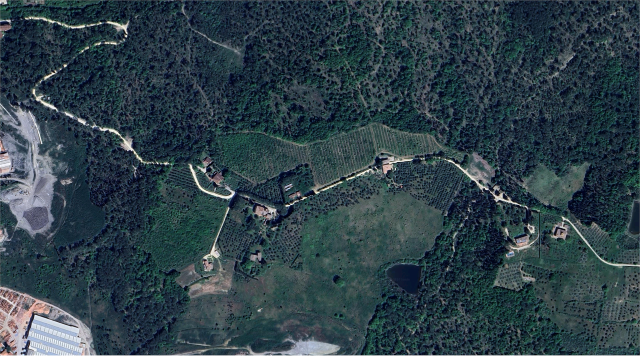 immagine annuncio 3 di 10