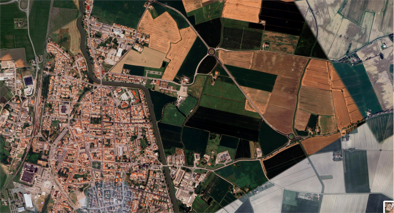 immagine annuncio 2 di 10