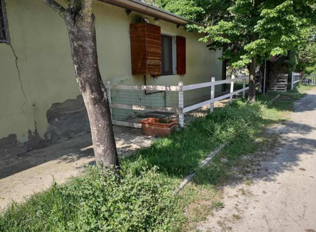 immagine annuncio 6 di 10