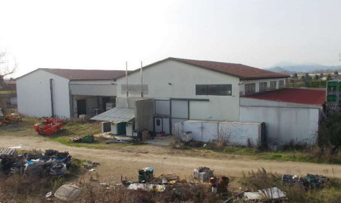 immagine annuncio 2 di 10