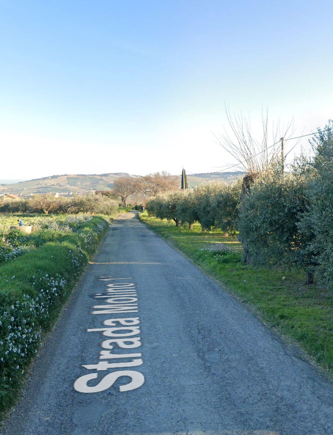 immagine annuncio 4 di 10