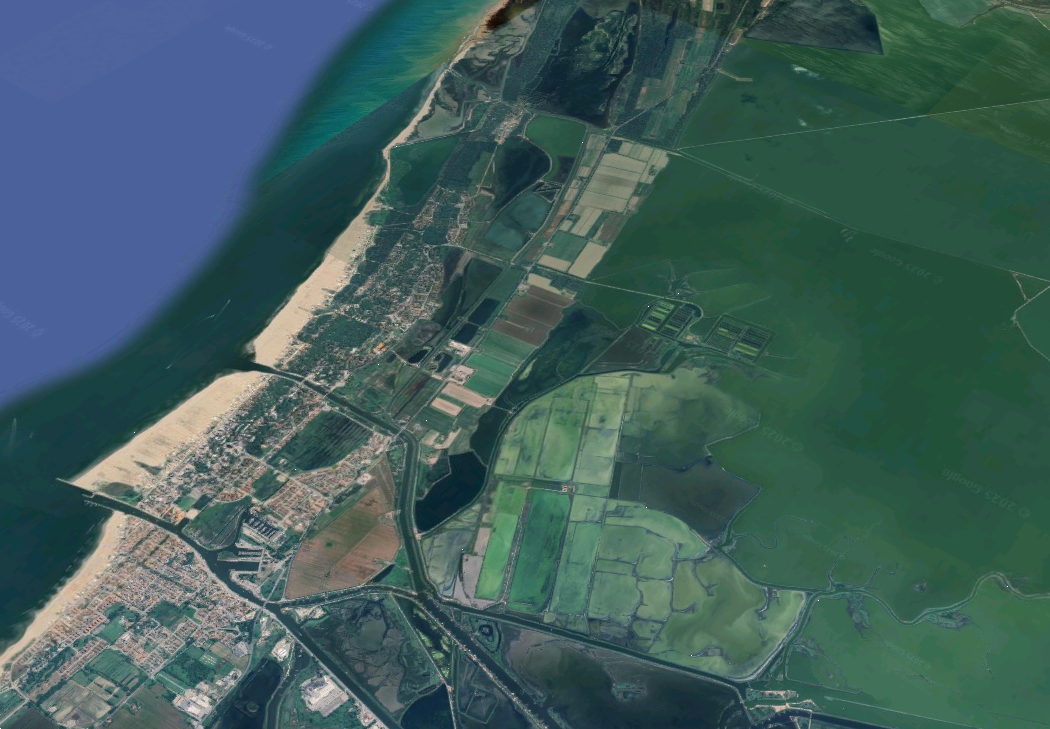 immagine annuncio 8 di 10