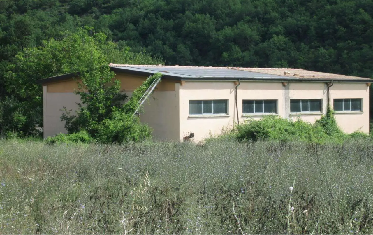 immagine annuncio 1 di 10