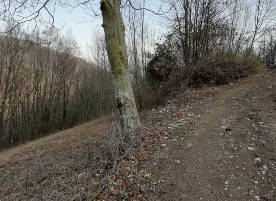 immagine annuncio 2 di 10