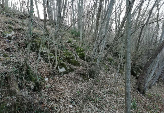 immagine annuncio 6 di 10