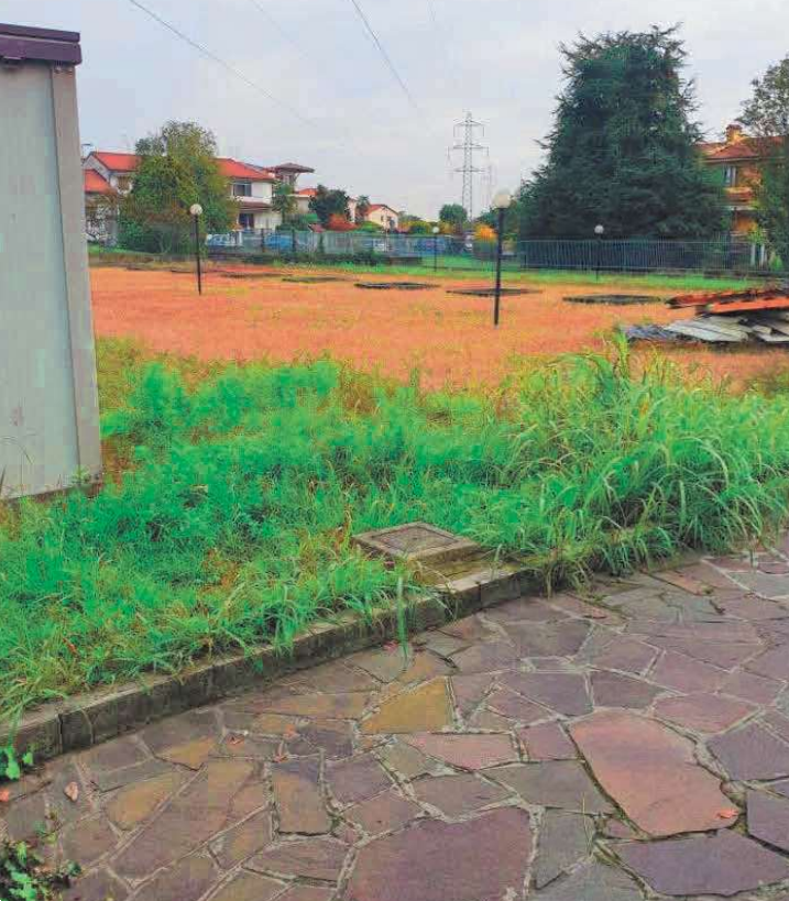 immagine annuncio 7 di 10