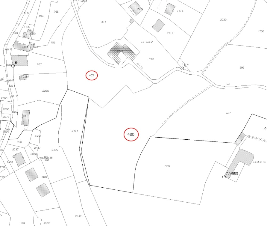 immagine annuncio 5 di 10