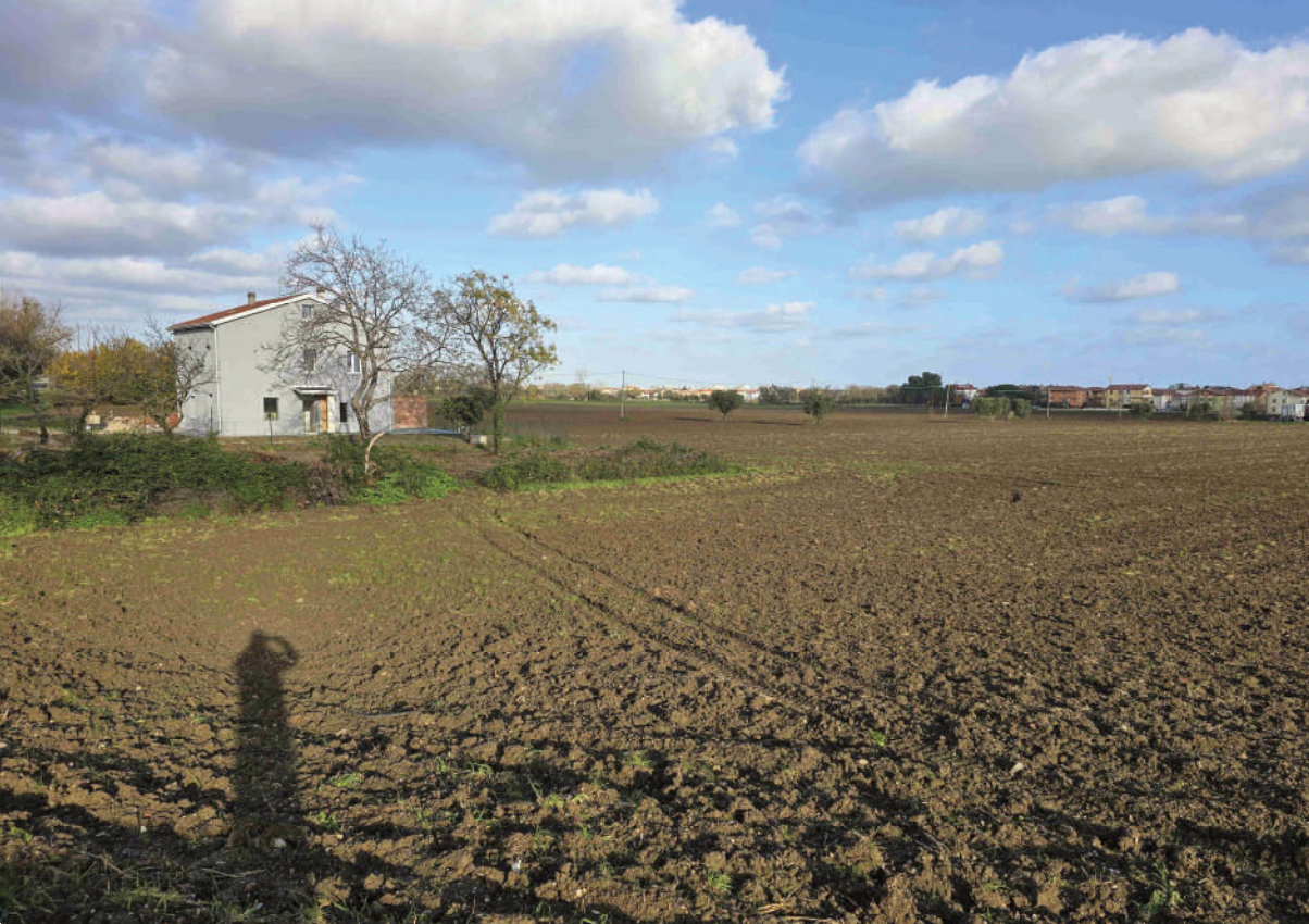 immagine annuncio 8 di 10