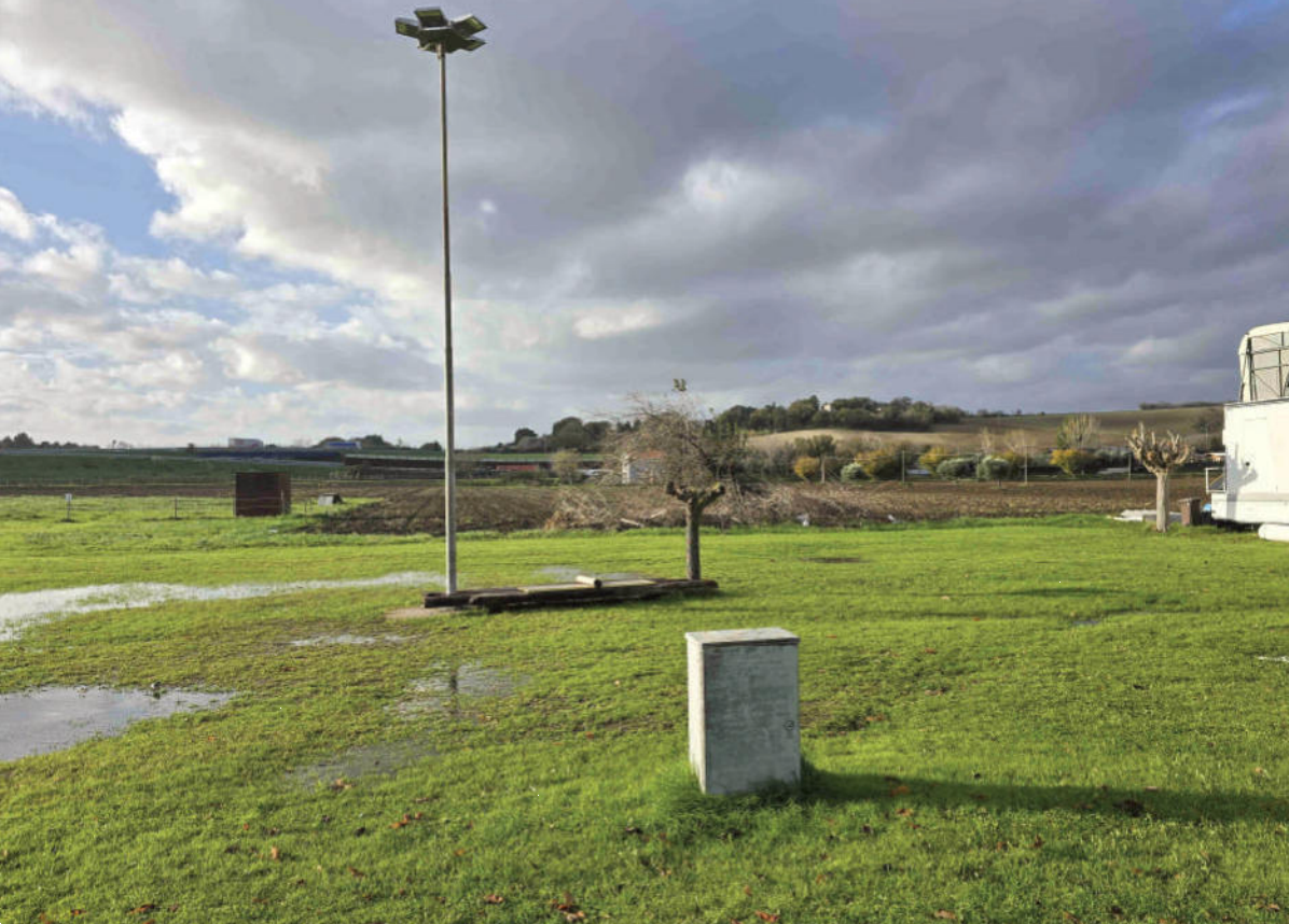 immagine annuncio 2 di 10