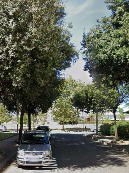 immagine annuncio 6 di 10