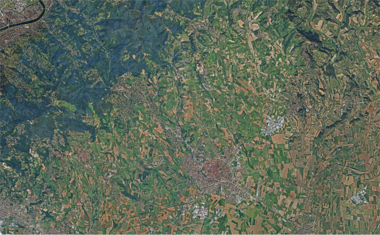 immagine annuncio 9 di 10