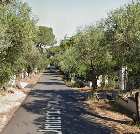 immagine annuncio 8 di 10