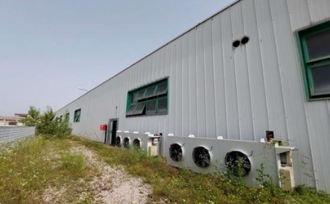 immagine annuncio 2 di 10