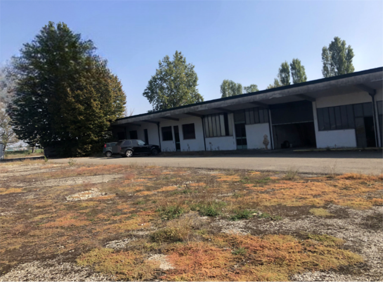 immagine annuncio 6 di 10