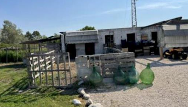 immagine annuncio 1 di 10