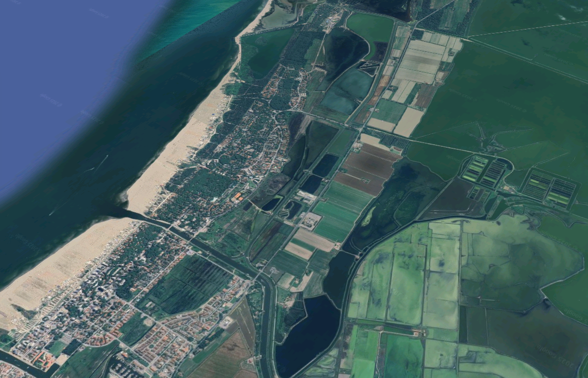 immagine annuncio 9 di 10