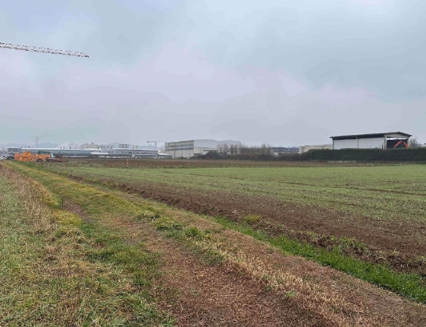 immagine annuncio 1 di 10