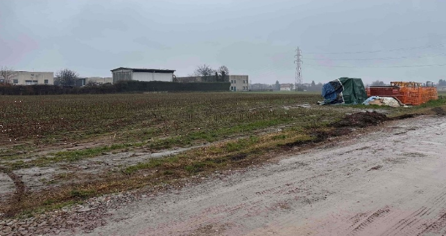 immagine annuncio 3 di 10