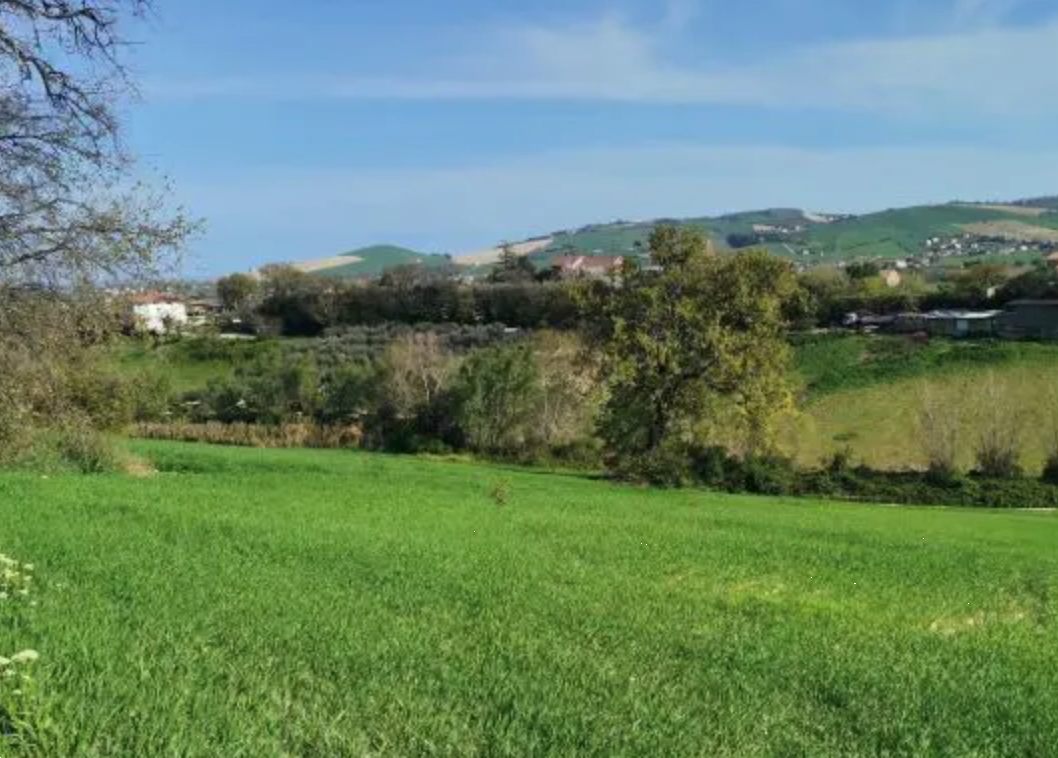 immagine annuncio 2 di 10