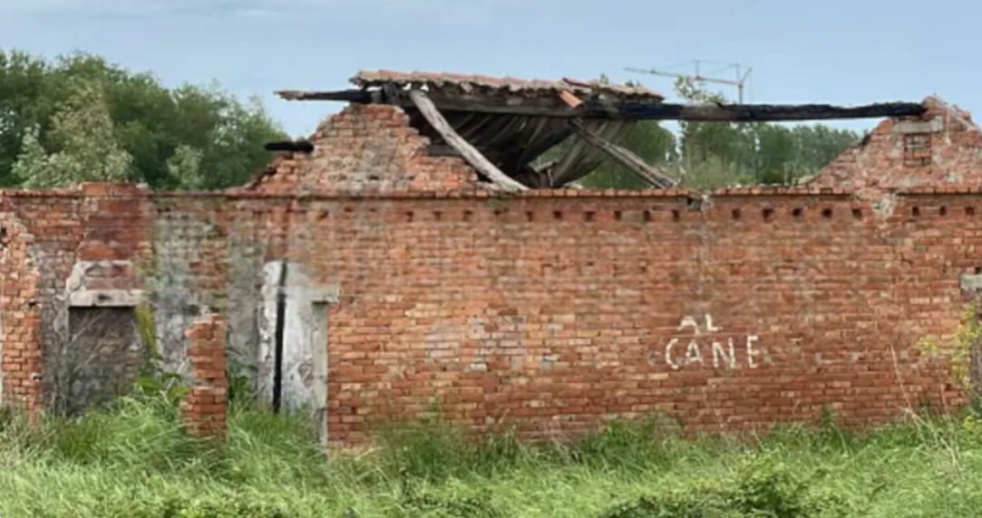 immagine annuncio 4 di 10