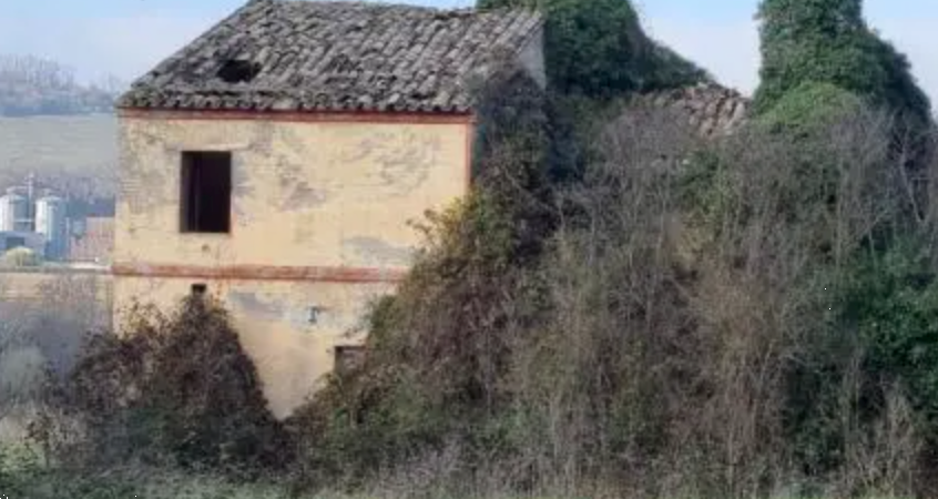 immagine annuncio 1 di 10