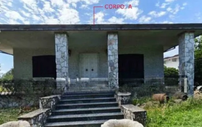 immagine annuncio 3 di 10