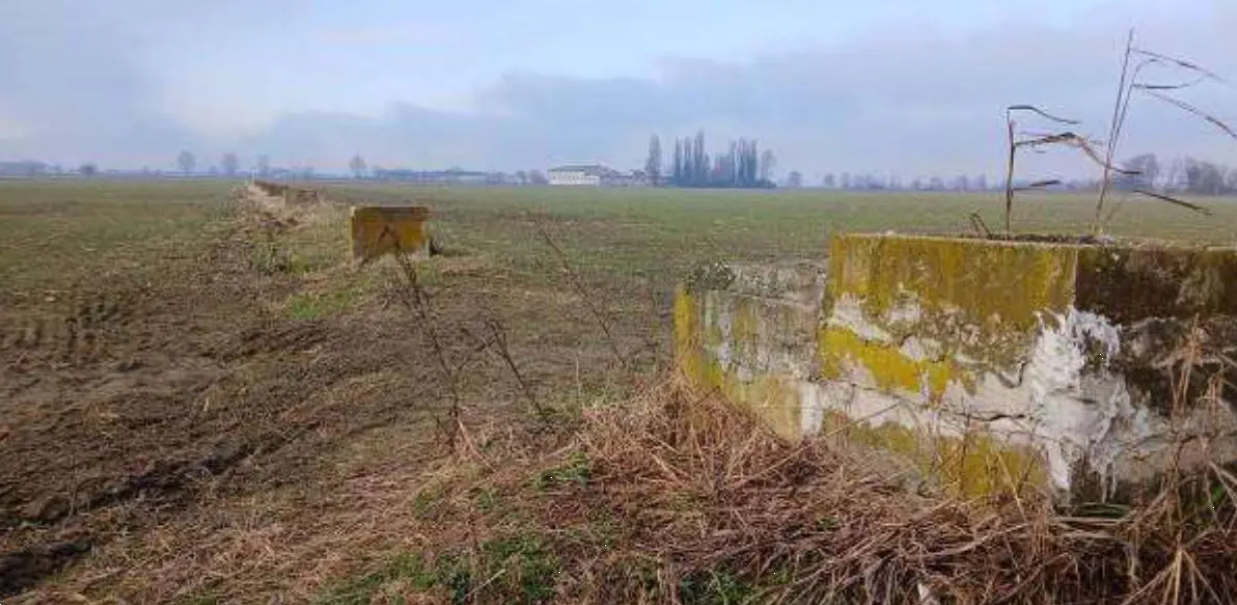 immagine annuncio 1 di 10