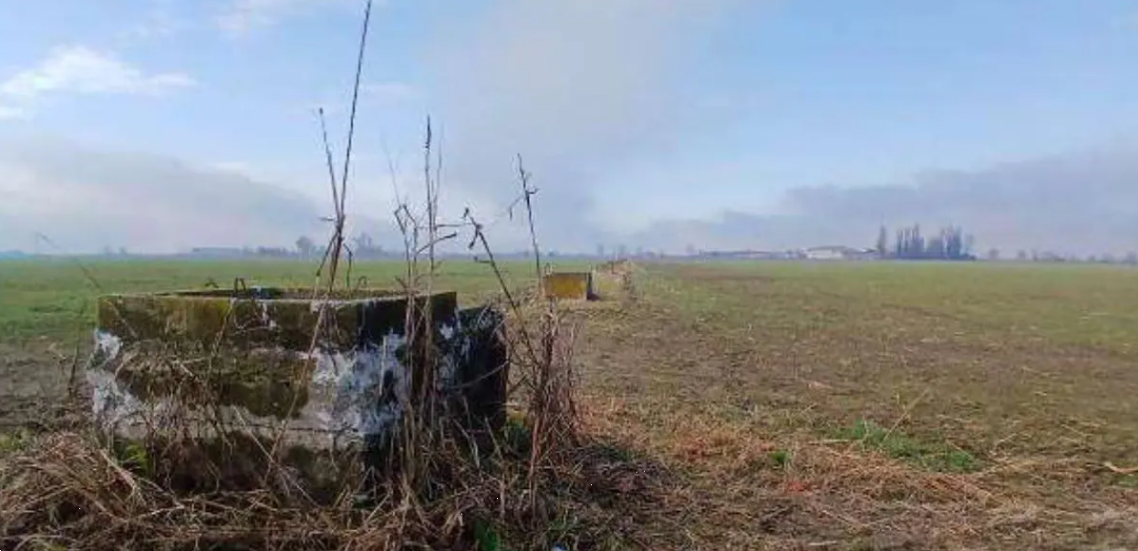 immagine annuncio 5 di 10