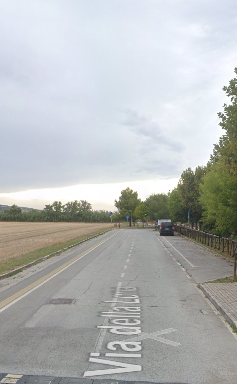 immagine annuncio 5 di 10