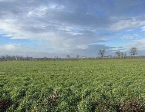 immagine annuncio 2 di 10