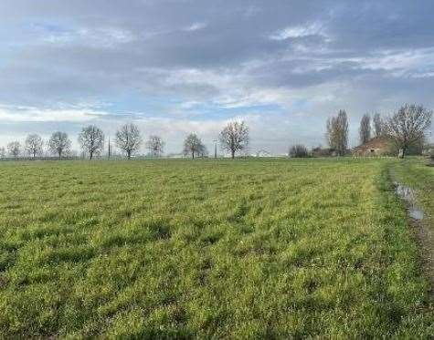 immagine annuncio 7 di 10