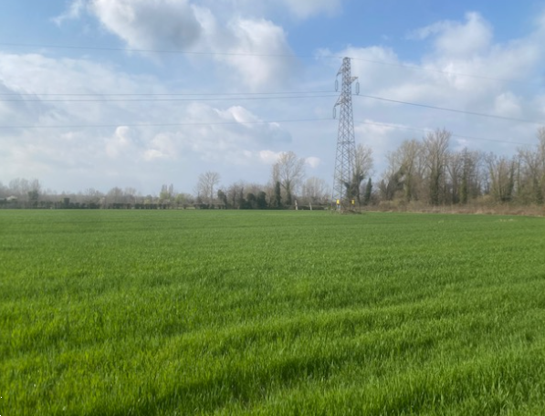 immagine annuncio 7 di 10