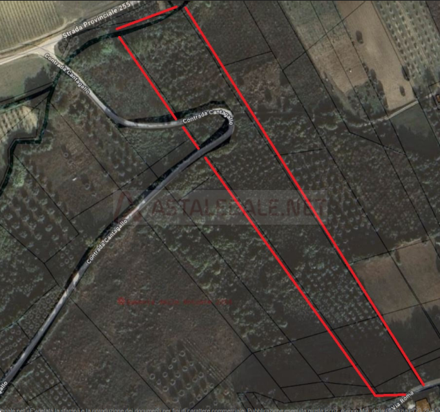 immagine annuncio 1 di 10