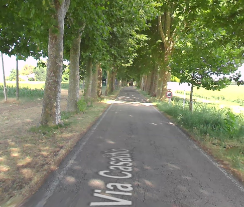 immagine annuncio 9 di 10