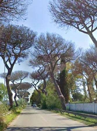 immagine annuncio 3 di 10